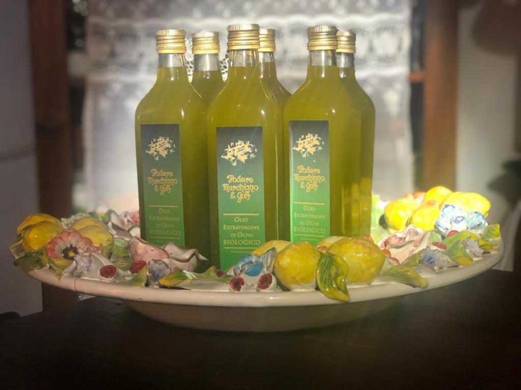 Agriturismo Podere Marchiano Larciano المظهر الخارجي الصورة