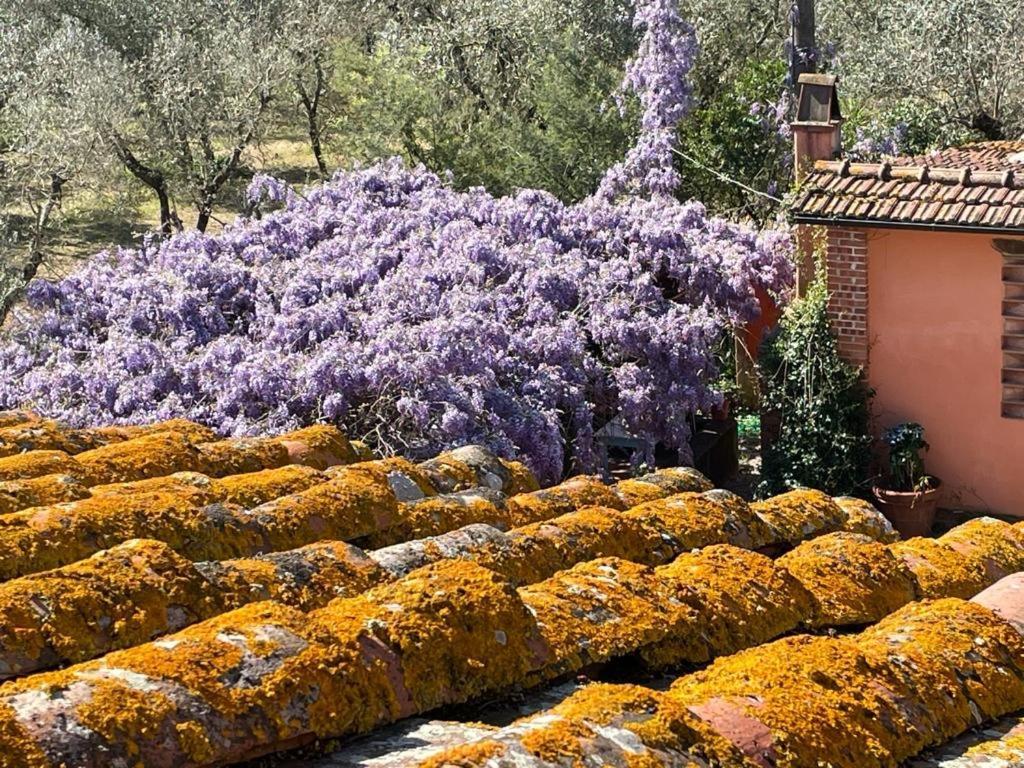 Agriturismo Podere Marchiano Larciano المظهر الخارجي الصورة